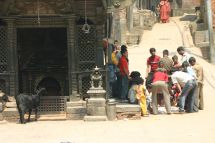 IMG_8550 Bhaktapur  Tempel nah quer Ziege.jpg